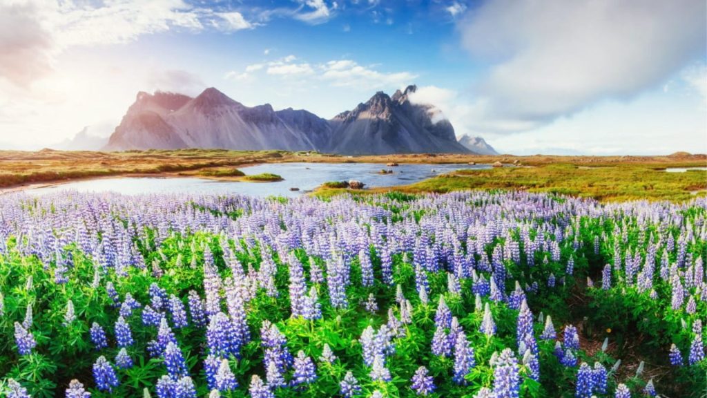 ISLANDIA