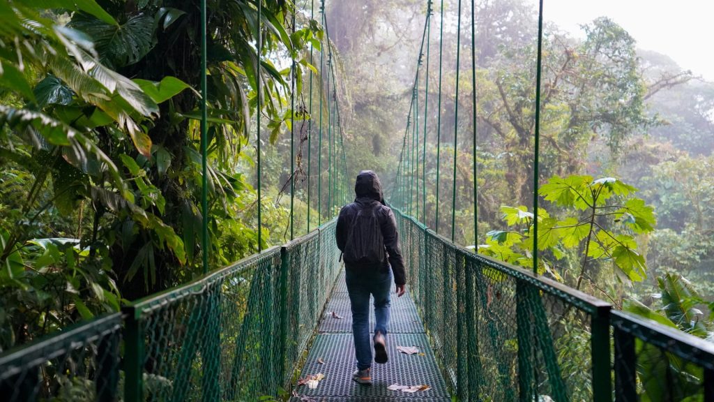 Monteverde 